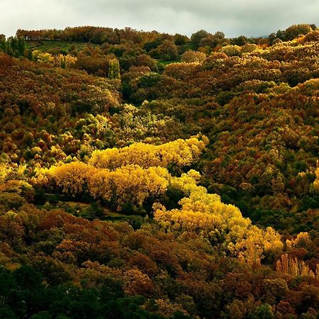 Aroma De Primavera En Casas Rurales Acebuche Casas del Monte 외부 사진