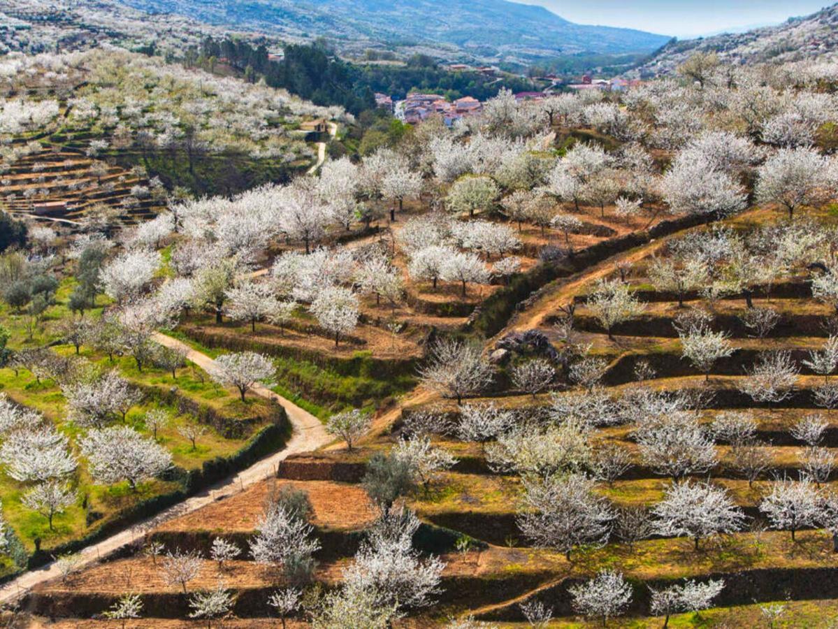 Aroma De Primavera En Casas Rurales Acebuche Casas del Monte 외부 사진