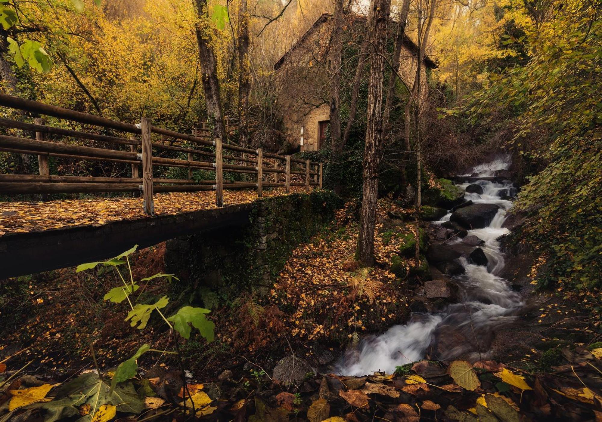 Aroma De Primavera En Casas Rurales Acebuche Casas del Monte 외부 사진