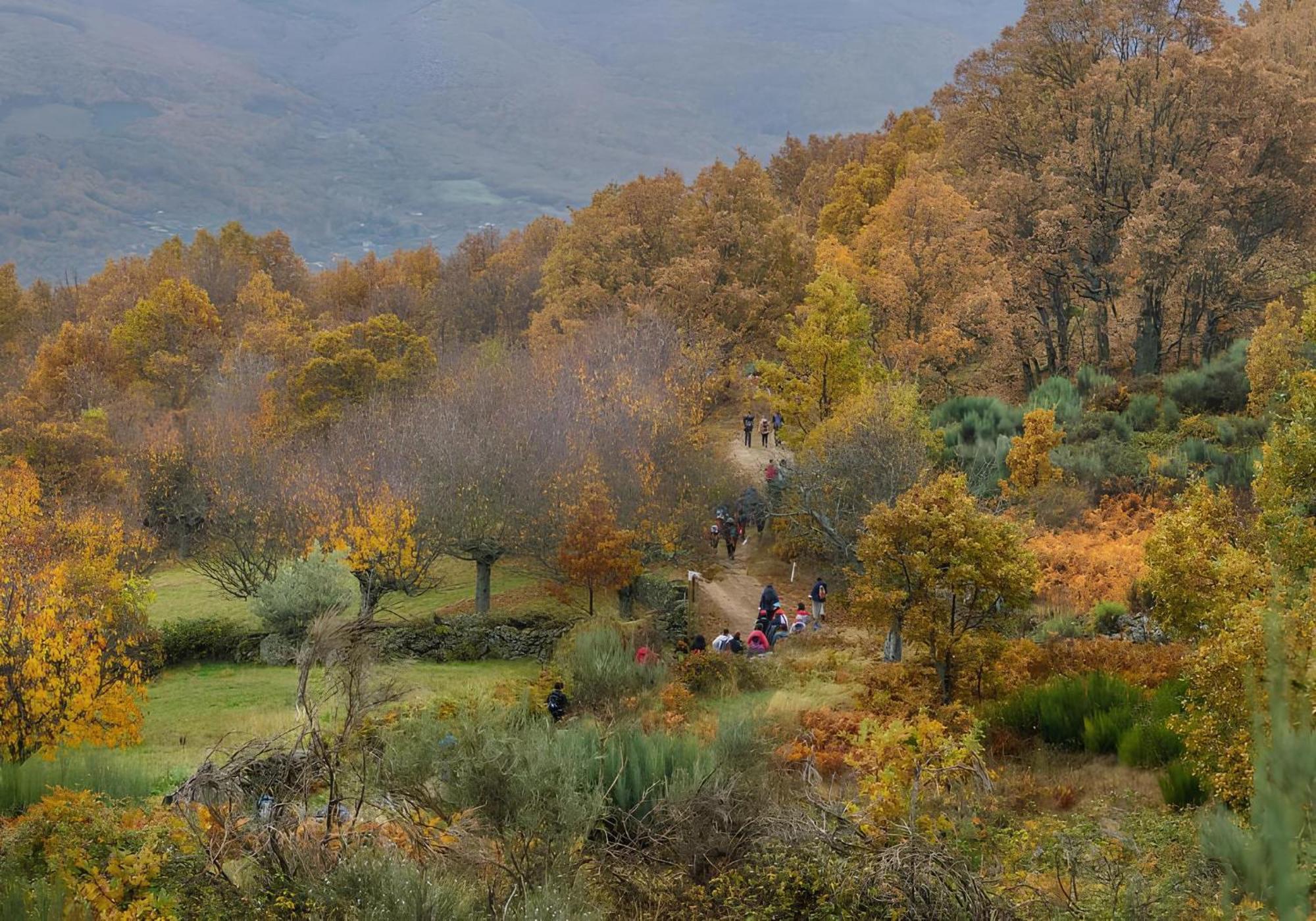 Aroma De Primavera En Casas Rurales Acebuche Casas del Monte 외부 사진
