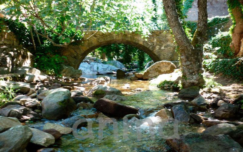 Aroma De Primavera En Casas Rurales Acebuche Casas del Monte 외부 사진